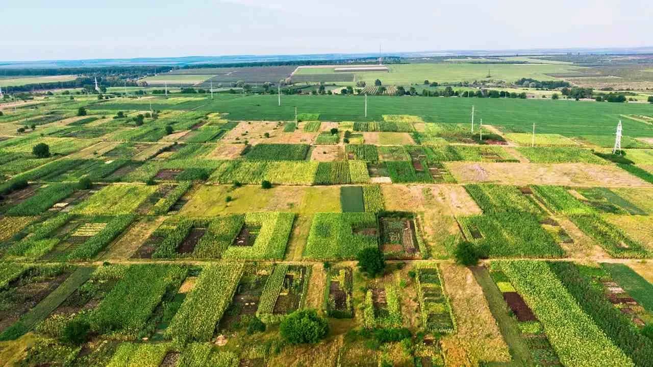 Jak sprawdzić do kogo należy działka i uniknąć nieprzyjemności